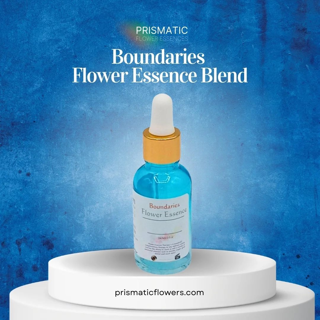 Boundaries Flower Essence Blend by Prismatic Flower Essences
