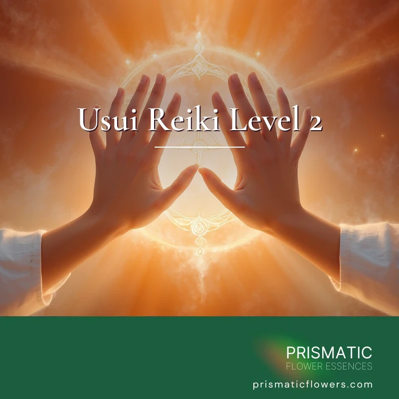 Usui Reiki Level 2 Attunement Course